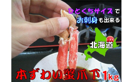 ひとくちサイズ お刺身も出来る！生冷凍ズワイガニ爪下 約1kg【0303502】