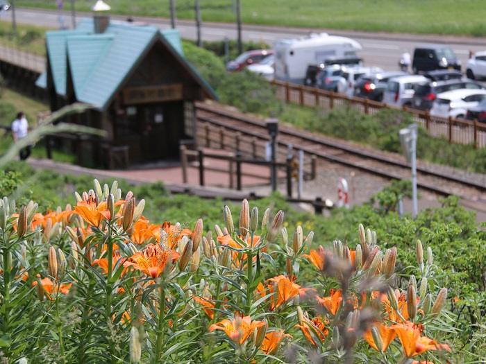 【通常では体験できない小清水原生花園火入れ（野焼き）体験宿泊付ツアー】「1名様」小清水町ふるさと納税限定2泊3日宿泊ツアー【16001】