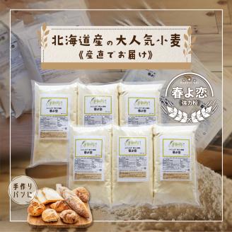 北海道小清水町産 「春よ恋」強力小麦粉6kg（1kg×6袋）【01011】