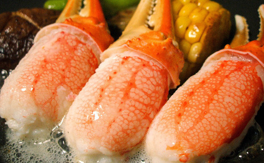 お刺身OK！生冷凍 本ズワイガニ爪＆爪下 各500g（生食可）【0304102】