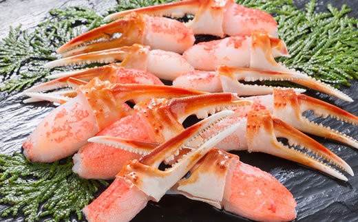 生冷凍 カット済 ずわい蟹 カニセット 1.2kg【0305802】