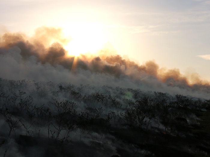 【通常では体験できない小清水原生花園火入れ（野焼き）体験宿泊付ツアー】「1名様」小清水町ふるさと納税限定2泊3日宿泊ツアー【16001】