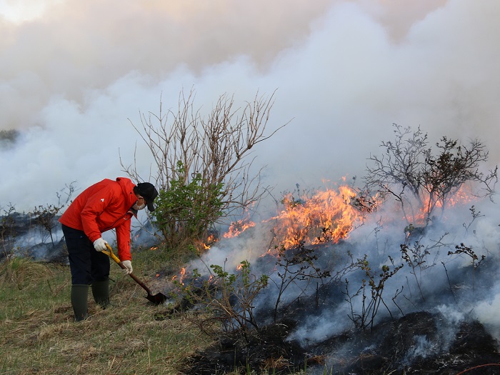 【通常では体験できない小清水原生花園火入れ（野焼き）体験宿泊付ツアー】「1名様」小清水町ふるさと納税限定2泊3日宿泊ツアー【16001】