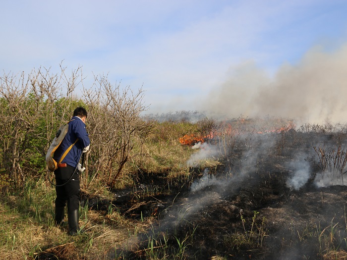 【通常では体験できない小清水原生花園火入れ（野焼き）体験宿泊付ツアー】「1名様」小清水町ふるさと納税限定2泊3日宿泊ツアー【16001】