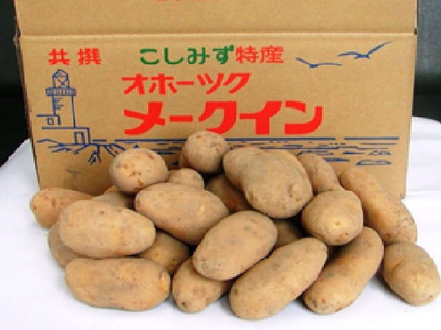 小清水町産メークイン　10kg【01001c】