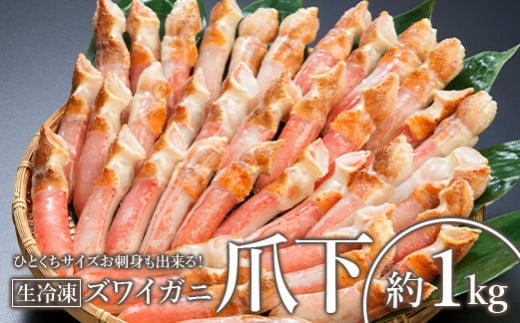 ひとくちサイズ お刺身も出来る！生冷凍ズワイガニ爪下 約1kg【0303502】