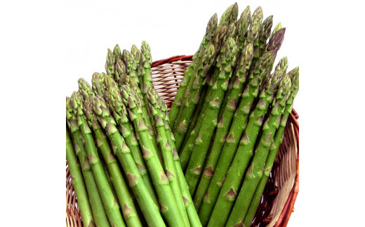 極太グリーンアスパラ【01005b】