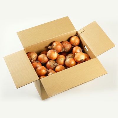 有機玉葱　9kg～9.5kg【配送不可地域：離島・沖縄県】