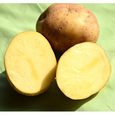 佐藤農場のじゃがいも「とうや」20kg【配送不可地域：離島・沖縄県】