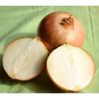 佐藤農場の玉葱20kg【配送不可地域：離島・沖縄県】