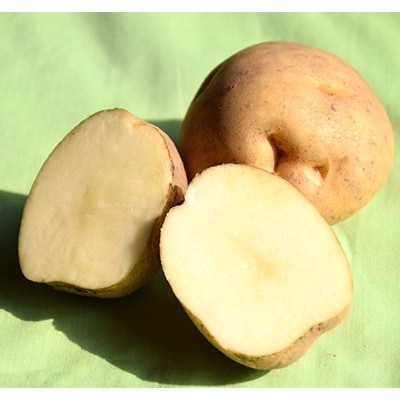 【先行受付　9月中旬以降発送】佐藤農場のじゃがいも「男爵」10kgと玉葱10kgセット【配送不可地域：離島・沖縄県】