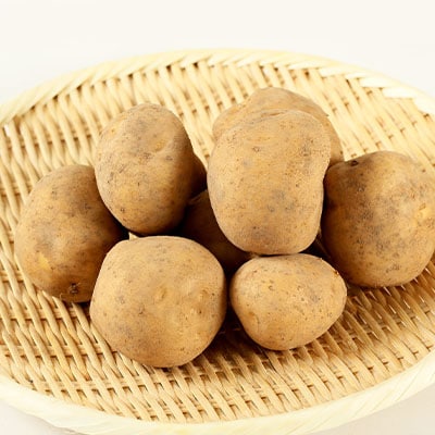 有機栽培じゃがいも「とうや」　9kg～9.5kg【配送不可地域：離島・沖縄県】