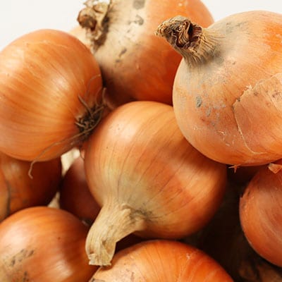 有機玉葱　9kg～9.5kg【配送不可地域：離島・沖縄県】