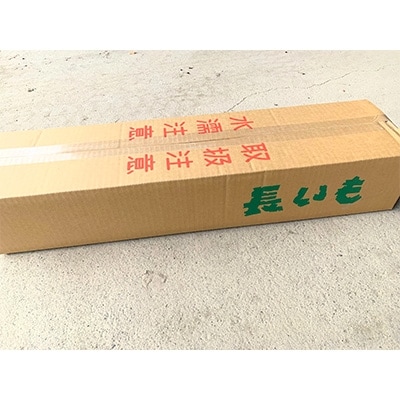 佐藤農場の長芋＜5kg＞【配送不可地域：離島・沖縄県】