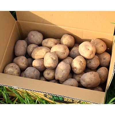 【先行受付　9月中旬以降発送】佐藤農場のじゃがいも「男爵」10kg【配送不可地域：離島・沖縄県】