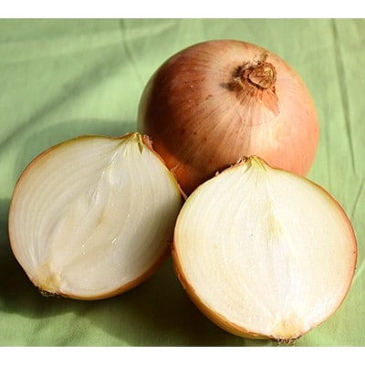 佐藤農場のじゃがいも「とうや」5kgと玉葱10kgセット【配送不可地域：離島・沖縄県】