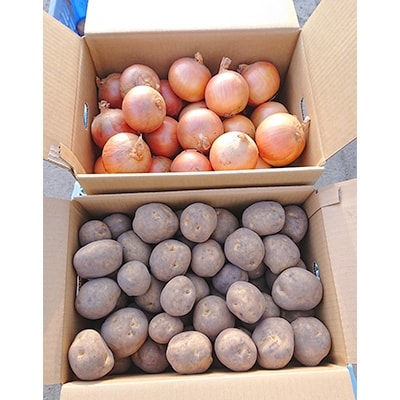 【先行受付　9月中旬以降発送】佐藤農場のじゃがいも「男爵」10kgと玉葱10kgセット【配送不可地域：離島・沖縄県】