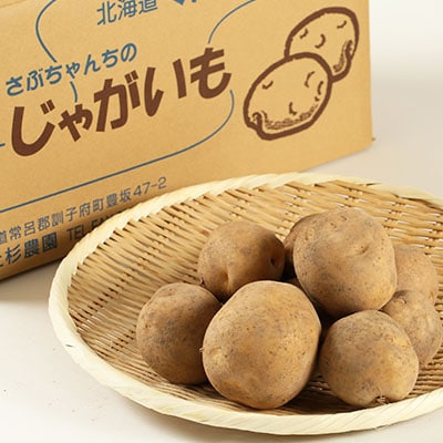 有機栽培じゃがいも「とうや」　9kg～9.5kg【配送不可地域：離島・沖縄県】