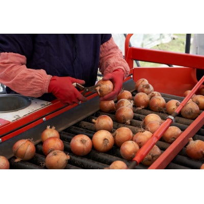 UNO ORGANIC FARM　北海道訓子府産　オーガニック玉ねぎ　10kg　【有機JAS認証】【配送不可地域：離島・沖縄県】