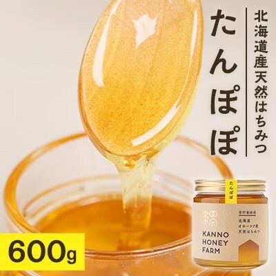 北海道産天然はちみつ　たんぽぽ　600g【配送不可地域：離島・沖縄県】