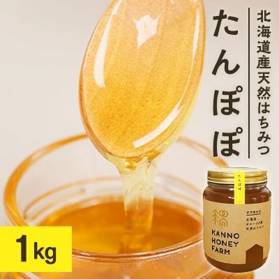 北海道産天然はちみつ　たんぽぽ　1kg【配送不可地域：離島・沖縄県】