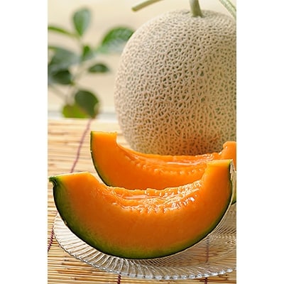 【2026年7月中旬以降発送】北海道　くんねっぷメロン2玉 【配送不可地域：離島・沖縄県】