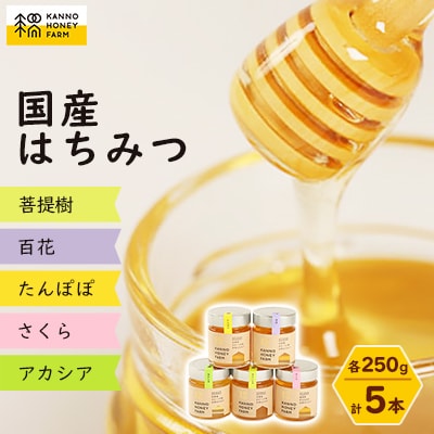 菅野養蜂場　国産はちみつ250g　5種類欲張りセット【配送不可地域：離島・沖縄県】