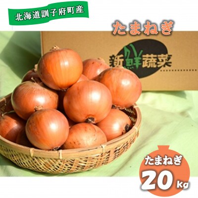 佐藤農場の玉葱20kg【配送不可地域：離島・沖縄県】