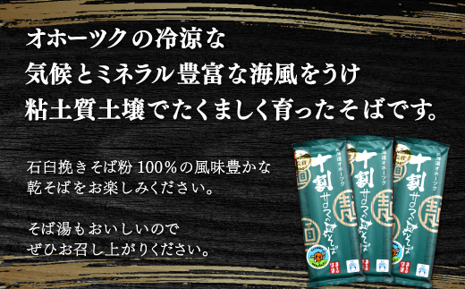 十割そば 4kg（200g×20） 40人前 乾麺 佐呂間産  SRMI021