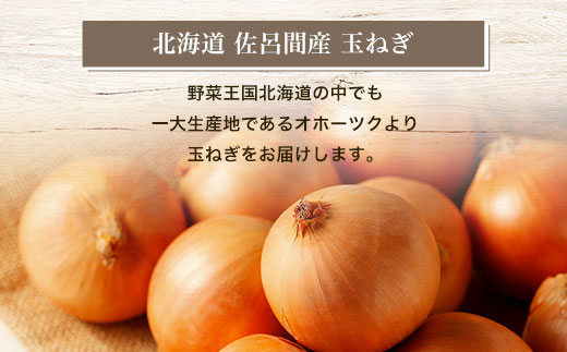 玉ねぎ 10kg 北海道 佐呂間産 （2026年10月出荷開始先行予約） SRMM019