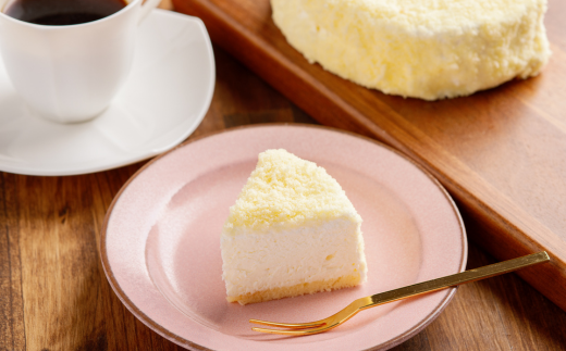 2種のケーキセット（レアチーズケーキ・バスク風チーズケーキ） SRMJ022