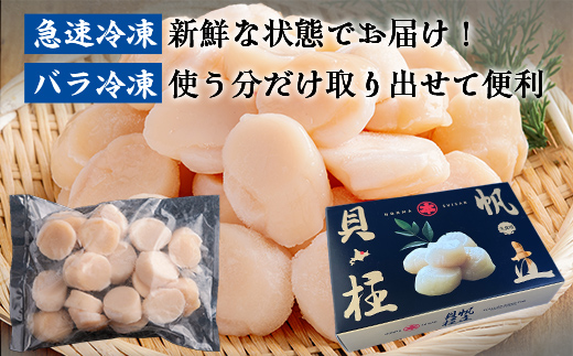 北海道オホーツク海産 大玉帆立貝柱 500g×2セット SRMR002