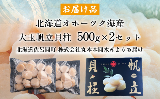 北海道オホーツク海産 大玉帆立貝柱 500g×2セット SRMR002