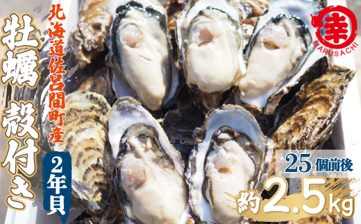【先行予約】【10月中旬から順次発送】カキ 殻付き 2年貝 約2.5kg（25個前後） 佐呂間産 SRMA002