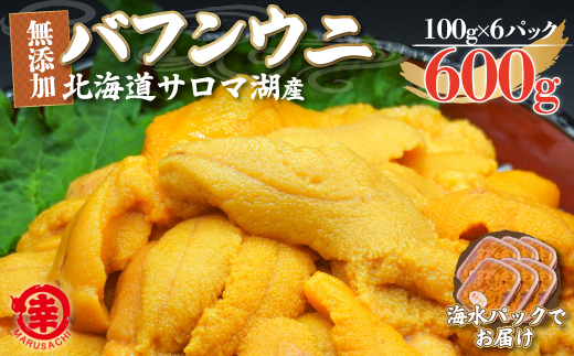 【先行予約】サロマ湖産 無添加 バフンウニ 600g（100g×6）海水パック（2026年4月以降順次発送予定） SRMA020