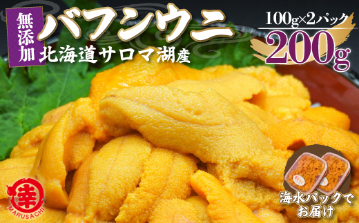 【先行予約】サロマ湖産 無添加 バフンウニ 200g（100g×2）海水パック（2026年4月以降順次発送予定） SRMA022