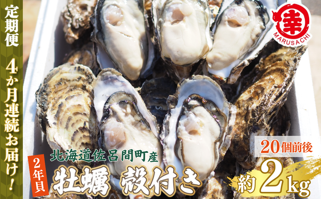 【先行予約】【10月中旬から順次発送】カキ 殻付き 2年貝 約2kg（20個前後） 佐呂間産 ［4回定期便］ SRMA040