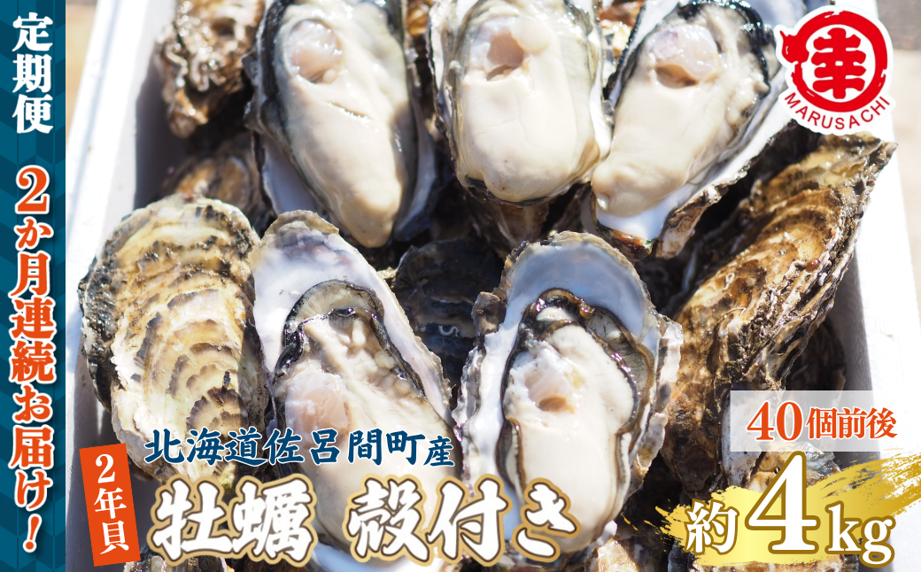 【先行予約】【10月中旬から順次発送】カキ 殻付き 2年貝 約4kg（40個前後） 佐呂間産 ［2回定期便］ SRMA042