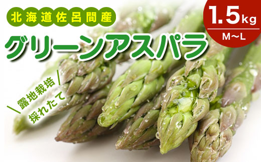 露地栽培 グリーンアスパラ 1.5kg （M～L） 北海道 佐呂間産 （2026年5月出荷開始先行予約） SRMM018