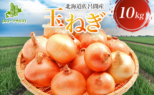 玉ねぎ 10kg 北海道 佐呂間産 （2026年10月出荷開始先行予約） SRMM019