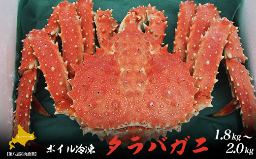 タラバガニ ボイル冷凍 1.8～2.0kg オホーツク産 SRMN005
