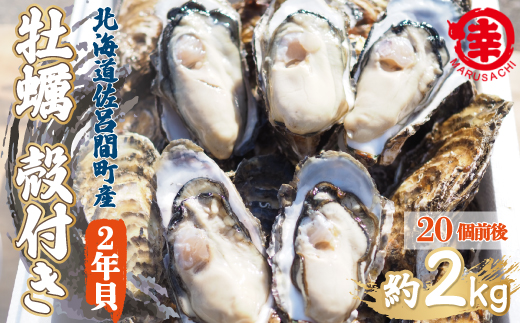 [先行予約]カキ 殻付き 2年貝 約2kg(20個前後) 佐呂間産(2024年10月中旬より発送) SRMA012 | カキ カキ カキ カキ カキ カキ カキ カキ カキ カキ カキ カキ カキ カキ カキ カキ カキ カキ カキ カキ カキ カキ カキ カキ カキ カキ カキ カキ カキ カキ カキ カキ カキ カキ カキ カキ カキ カキ カキ カキ カキ カキ カキ カキ カキ カキ