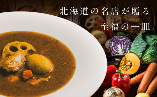 【12月21日(日)までの寄附で年内発送】GARAKUスープカレーチキン詰合せ (180g×10個) ( ふるさと納税 スープカレー カレー チキンスープカレー 本格スパイスカレー コク旨 北海道名物 北海道 遠軽町 GARAKURETAIL ) en01-00035