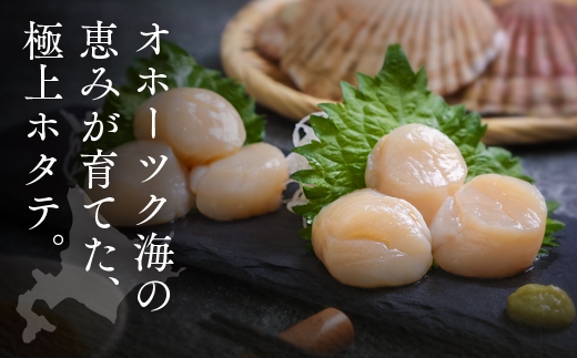 オホーツク海産ホタテ貝柱1kg en01-00069