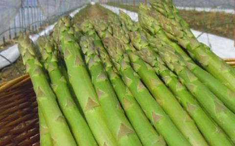 発酵バター・夏アスパラセット ( ふるさと納税 発酵バター アスパラガス グリーンアスパラ 野菜 健康食材 天ぷら 炒め物 パスタ サラダ 北海道 遠軽町 )