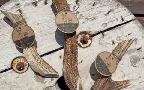 シカのおとしもの　キミのたからもの（Lサイズ） en01-00165