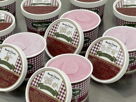 ～山いちご&木いちご&ハスカップ～ 自然な野山の果実アイスクリーム120ml　3種類合計12個 ( ふるさと納税 アイスクリーム 北海道産 生クリーム 使用 ベリー系 スイーツ デザート 冷凍スイーツ 北海道 遠軽町 ノルディックファーム ) en01-00088