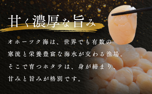 オホーツク海産ホタテ貝柱1kg en01-00069
