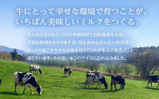 アイスクリーム(フレッシュミルク)2L en01-00199