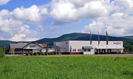 ～山いちご&木いちご&ハスカップ～ 自然な野山の果実アイスクリーム120ml　3種類合計12個 ( ふるさと納税 アイスクリーム 北海道産 生クリーム 使用 ベリー系 スイーツ デザート 冷凍スイーツ 北海道 遠軽町 ノルディックファーム ) en01-00088